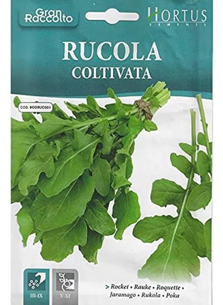 Hortus Rocket Premium Quality Seeds (Rucola Coltivata) (Made in Italy) by Hortus Sementi