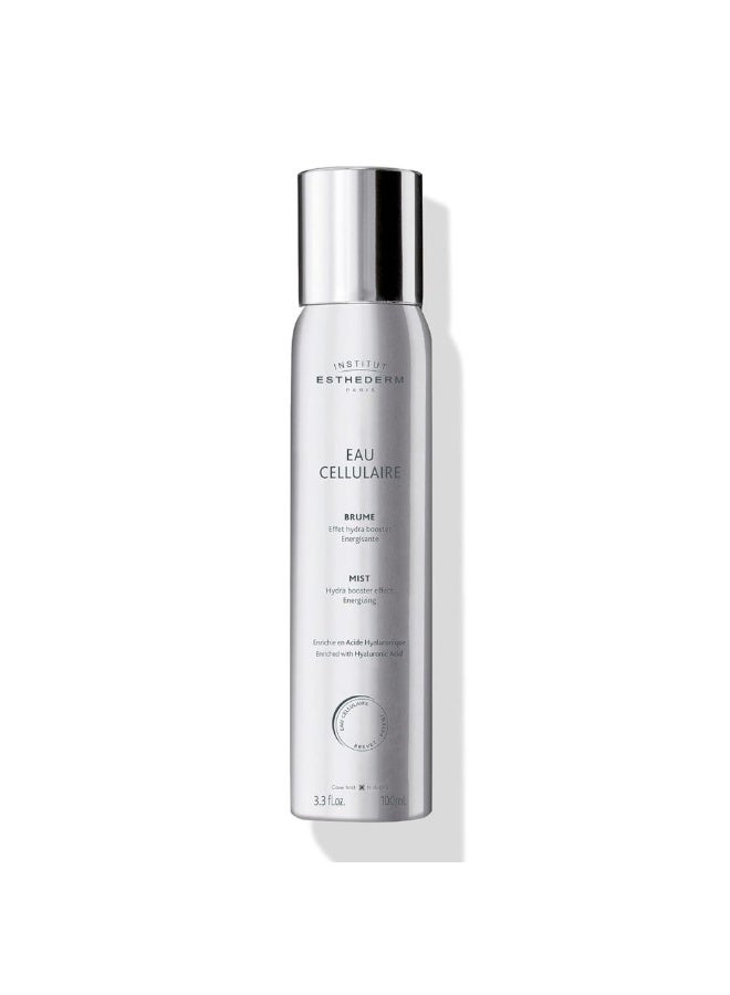 Institut Esthederm Eau Cellulaire Antyoxidant and Energizing Mist 100ml - Image 1
