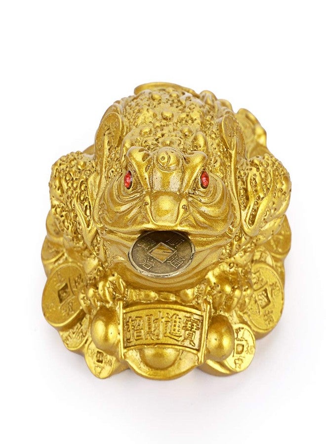 MDLUU 2 Pcs Money Toad Statue, Feng Shui Three Legged Toad with Coin, Lucky Charm Wealth Frog for Cash Register, Office Desk, House Warming, Store Opening Gift (Gold) - Image 4