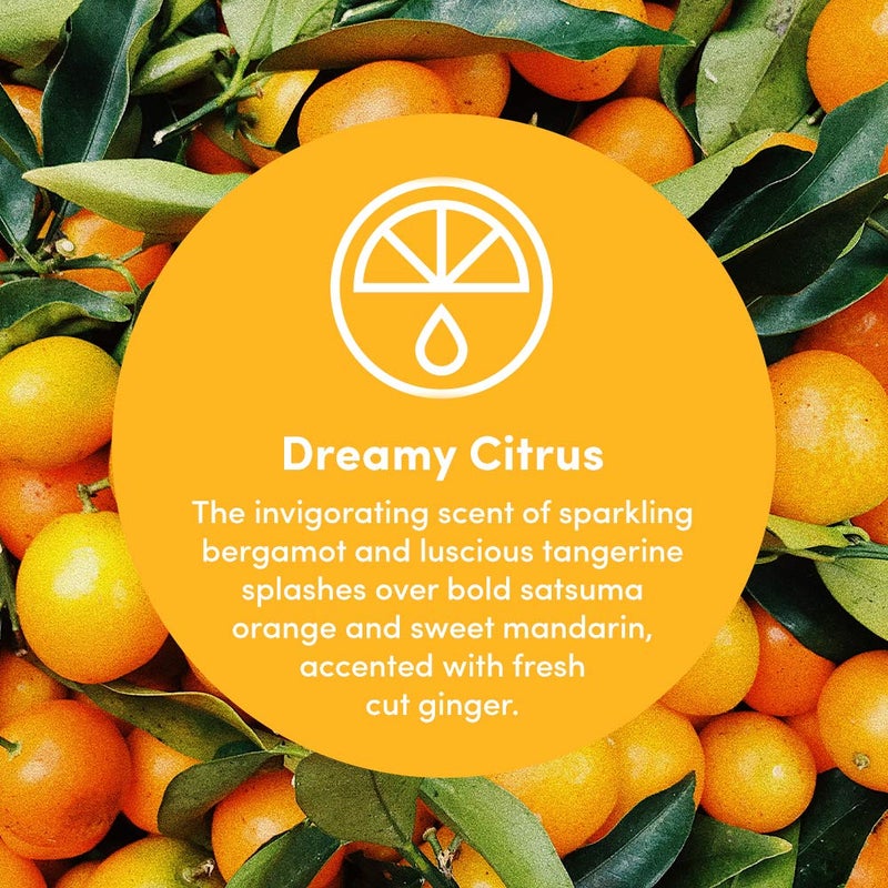 Clean Revolution Multi Surface Cleaner Refill Supply  Non-Toxic  Eco-Friendly & Plant-Based  Ready to Use  Dreamy Citrus  128 Fl Oz (1 Gallon) - Image 3