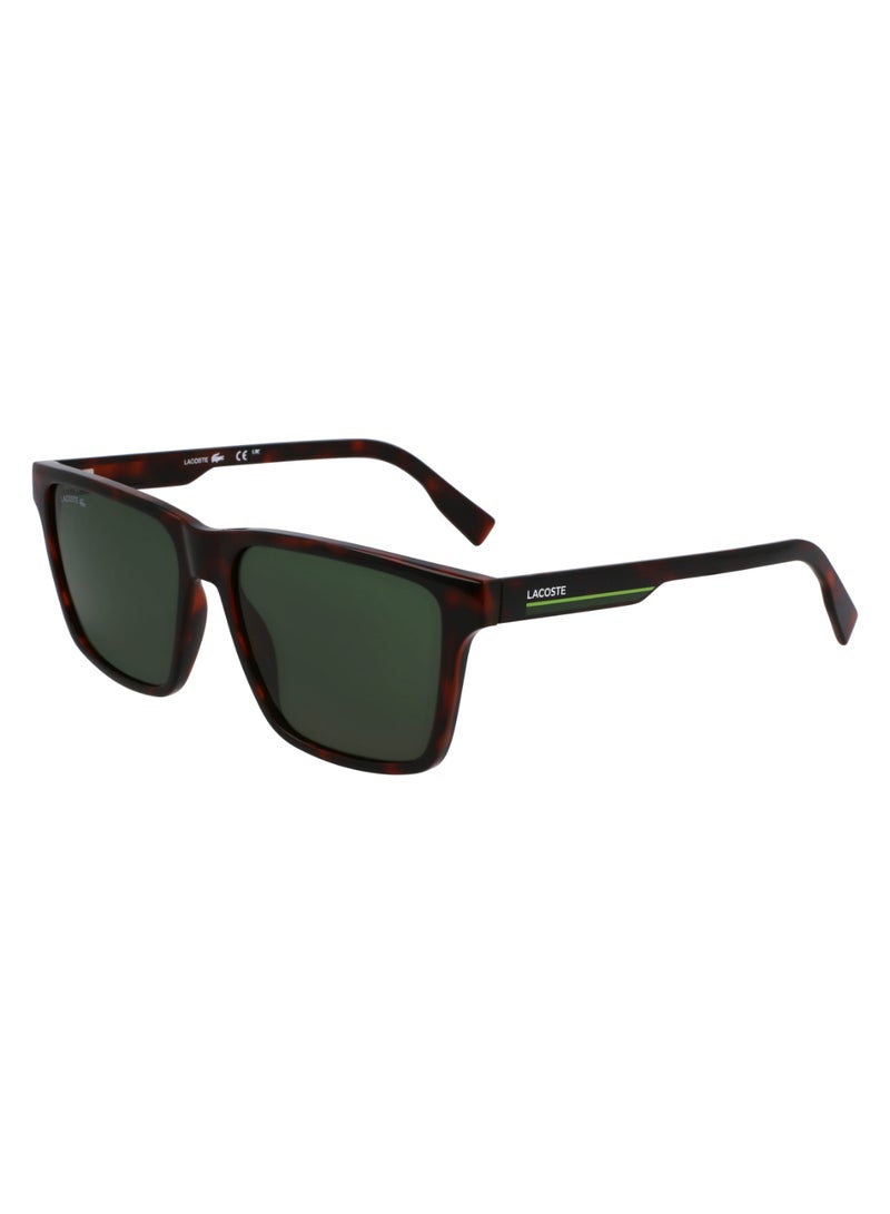 LACOSTE FULL RIM BIO INJ-G820 INJECTED LACOSTE SUNS L6039S 5716 (214) HAVANA - Image 1