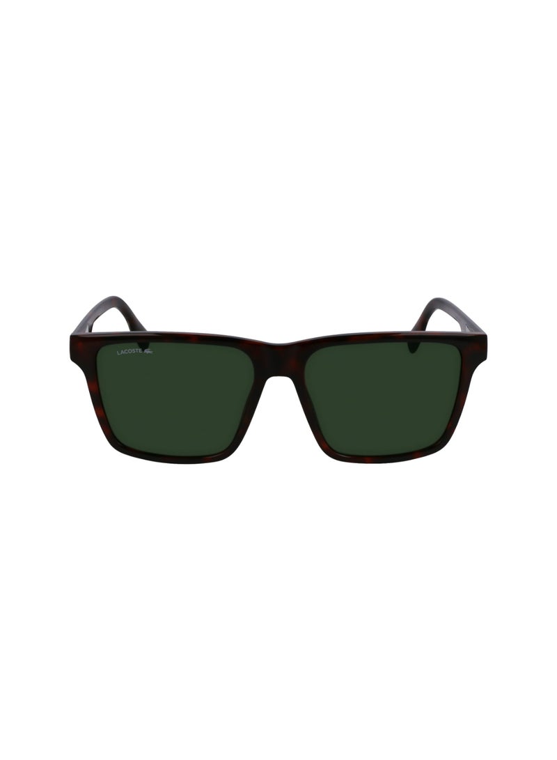 LACOSTE FULL RIM BIO INJ-G820 INJECTED LACOSTE SUNS L6039S 5716 (214) HAVANA - Image 2