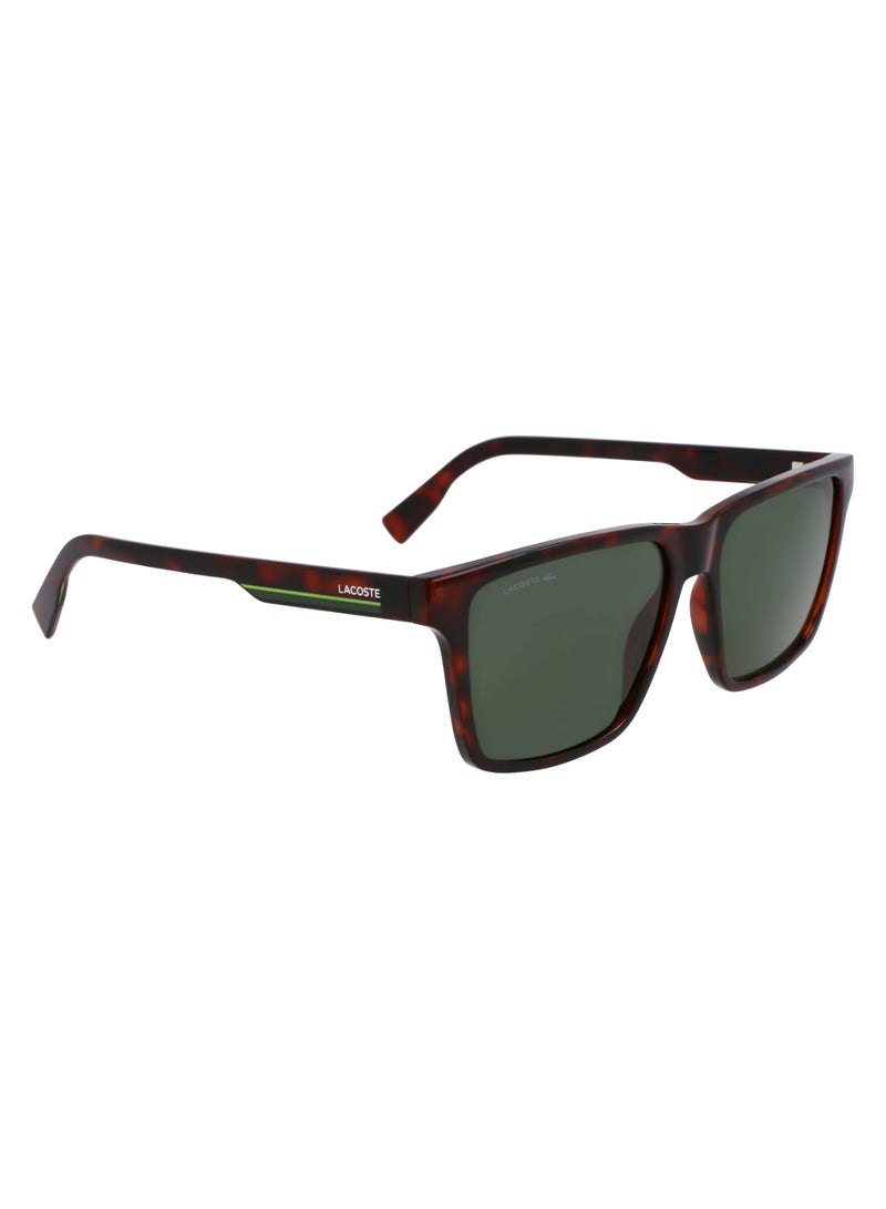 LACOSTE FULL RIM BIO INJ-G820 INJECTED LACOSTE SUNS L6039S 5716 (214) HAVANA - Image 3