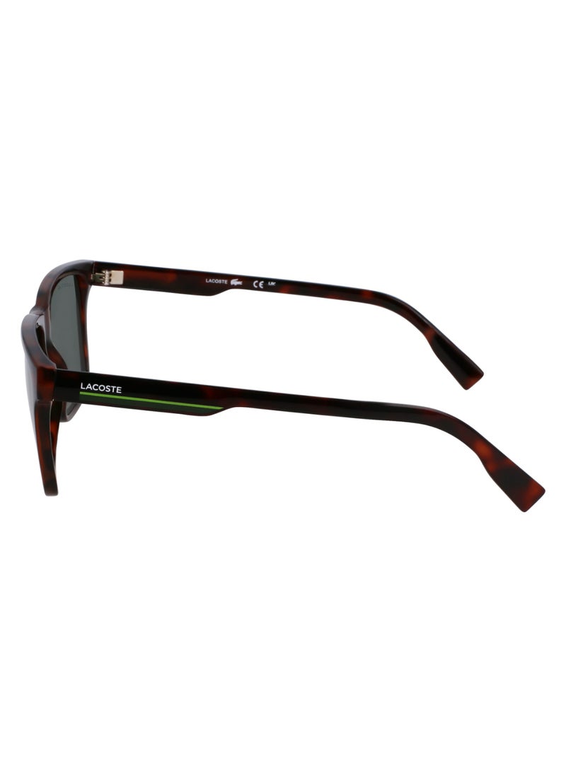 LACOSTE FULL RIM BIO INJ-G820 INJECTED LACOSTE SUNS L6039S 5716 (214) HAVANA - Image 4