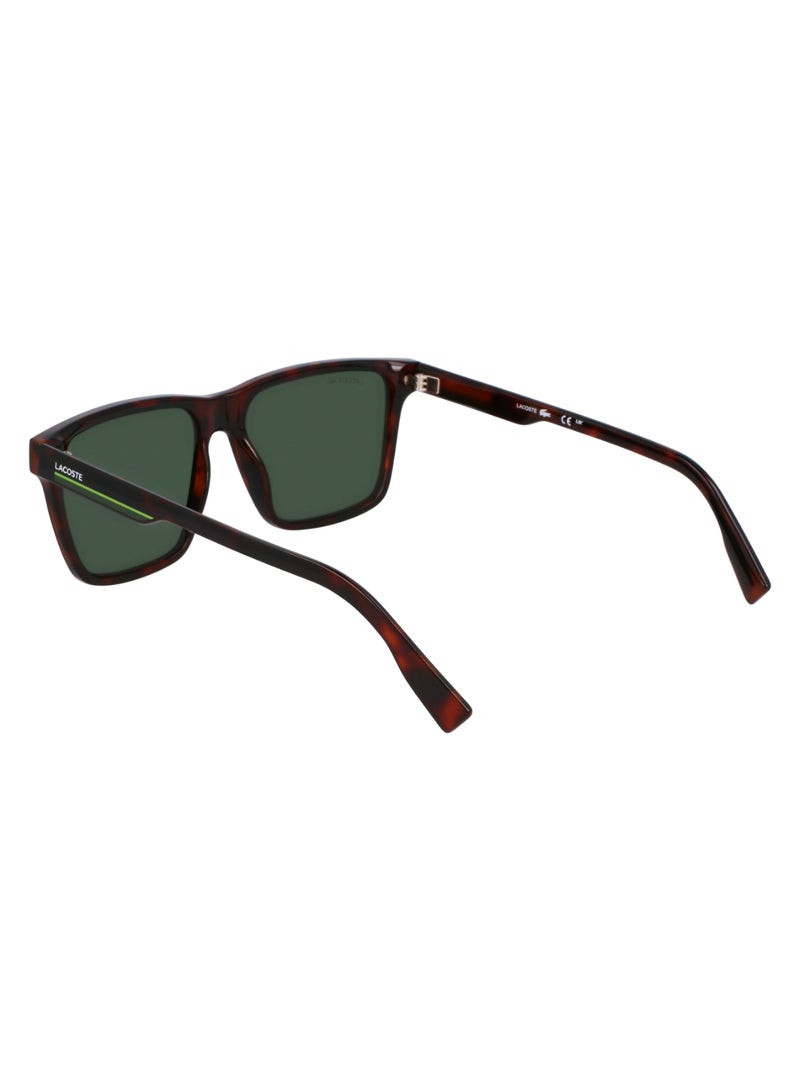 LACOSTE FULL RIM BIO INJ-G820 INJECTED LACOSTE SUNS L6039S 5716 (214) HAVANA - Image 5