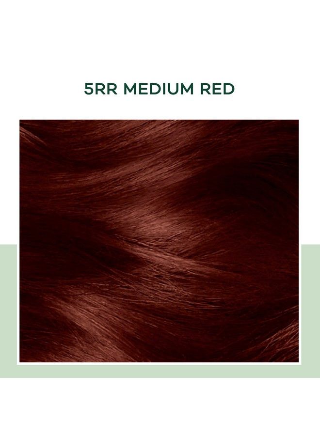 CLAIROL صبغة شعر دائمة نصف طبيعية 5Rr لون شعر أحمر متوسط عبوة 1 - Image 3