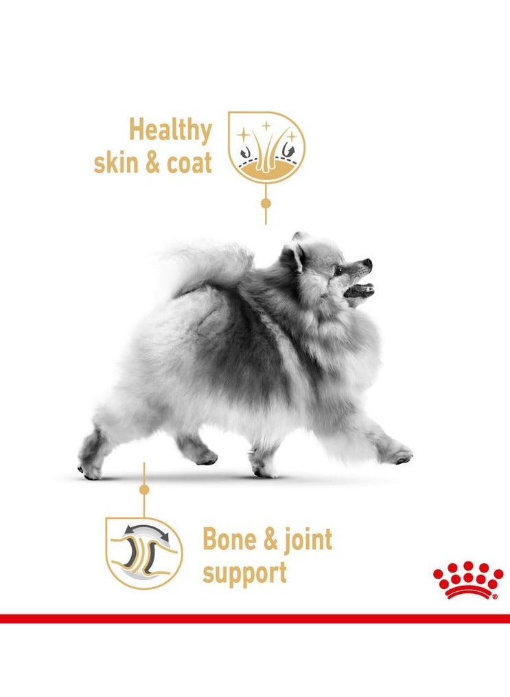 رويال كانين BHN صغير طويل الشعر للبالغين 1.5 كجم سلالة تغذية صحية أغذية - Image 3