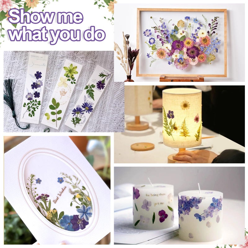 Suziko Large Flower Press Kit 10.8 x 6.9 inch for Adults Kids, Flower and Plant Preservation Kit, Arts and Crafts for Adults Leaf Press, Great Gift for Lovers - Image 3