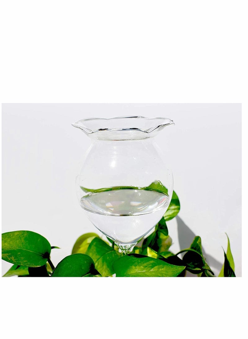 Y&D Plant Waterer Self Watering Globes, 2Pcs Clear Bulbs Garden Hand Blown Glass Water for Indoor Outdoor - Image 3
