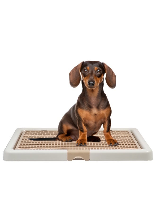 NNC PETS Dog toilet tray with Removable plastic grid and Anti-slip base, Leak-resistant puppy potty training pad holder for Small to Medium dogs, Ideal for Indoor/Outdoor use, 66 cm (Beige) - Image 1