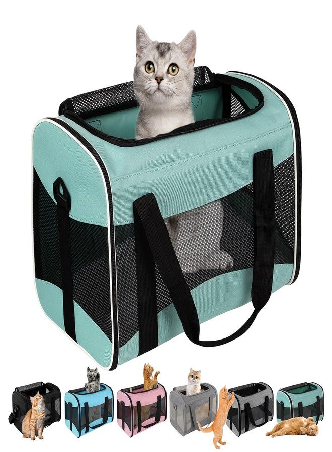 Top tasta Cat Dog Carriers Soft-Sided Pet Carrier Large Cats for Medium Big Cat Small Dog Puppy up to 16lbs TSA Airline Approved Animal Collapsible Cat Carrier Carriers Travel Carrier Cat Bag (17x11x11) - Image 1