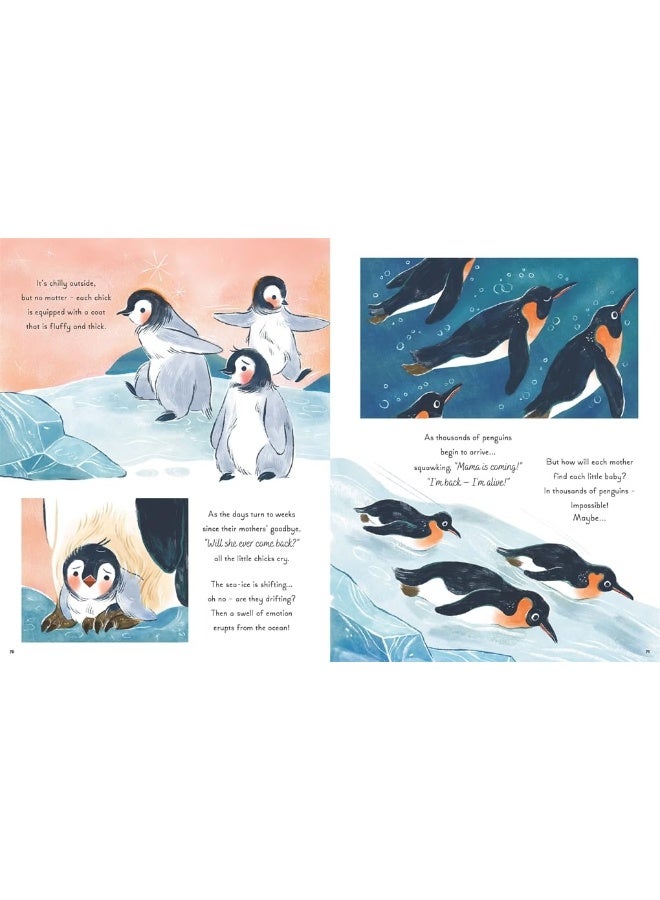 5 Minute Ocean Stories: True Tales from the Sea - Image 4