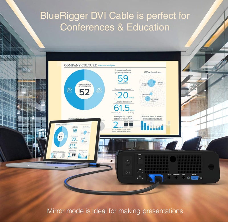 BlueRigger كابل DVI ذكر إلى DVI ذكر رقمي مزدوج الرابط (35 قدم / 10.67 متر) - Image 4