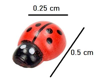 Krisah 10 pcs Butterflies Stakes & 20 pcs Ladybugs Garden/Plant Décor, Multi Color, Small - Image 4