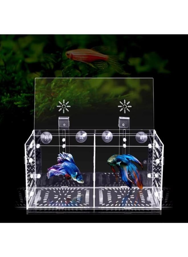 Acrylic Transparent Fish Tank Breeding Isolation Box - Image 2