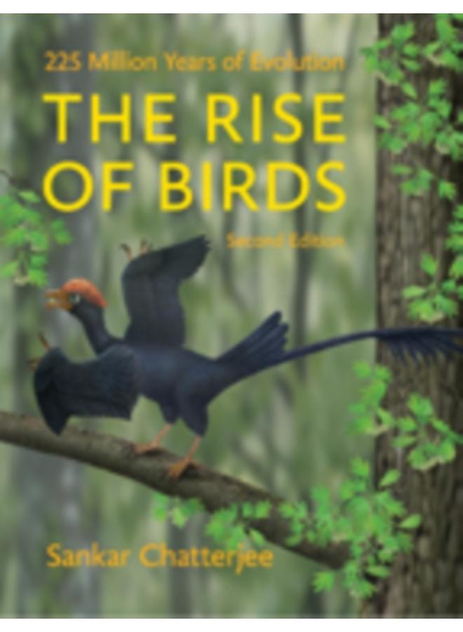 The Rise of Birds : 225 Million Years of Evolution