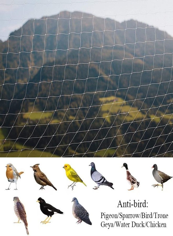 JUMXSRLE Cat Netting for Balcony, Cat Netting Anti-Fall Mesh Fence, Anti Bird Netting for Garden/Balcony, Transparent Nylon Pet Mesh Fence for Dogs & Cat, Pet Safety Net for Balcony/Stairs/Window - Image 4