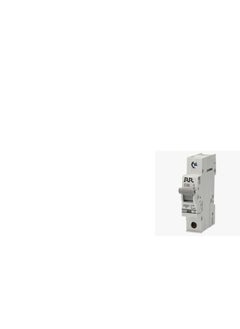 RR RR MCB Single Pole C Curve 10kA 32A - RR-MSP32 