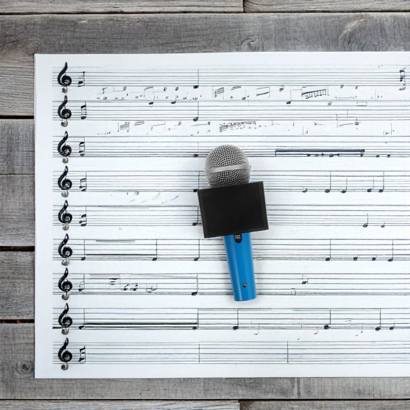 Fake Microphone Prop Toy: 18cm Simulation Pretend Microphone Toy with Cube Flag for Kids Karaoke Costume Role Play Party Accessories - Image 2