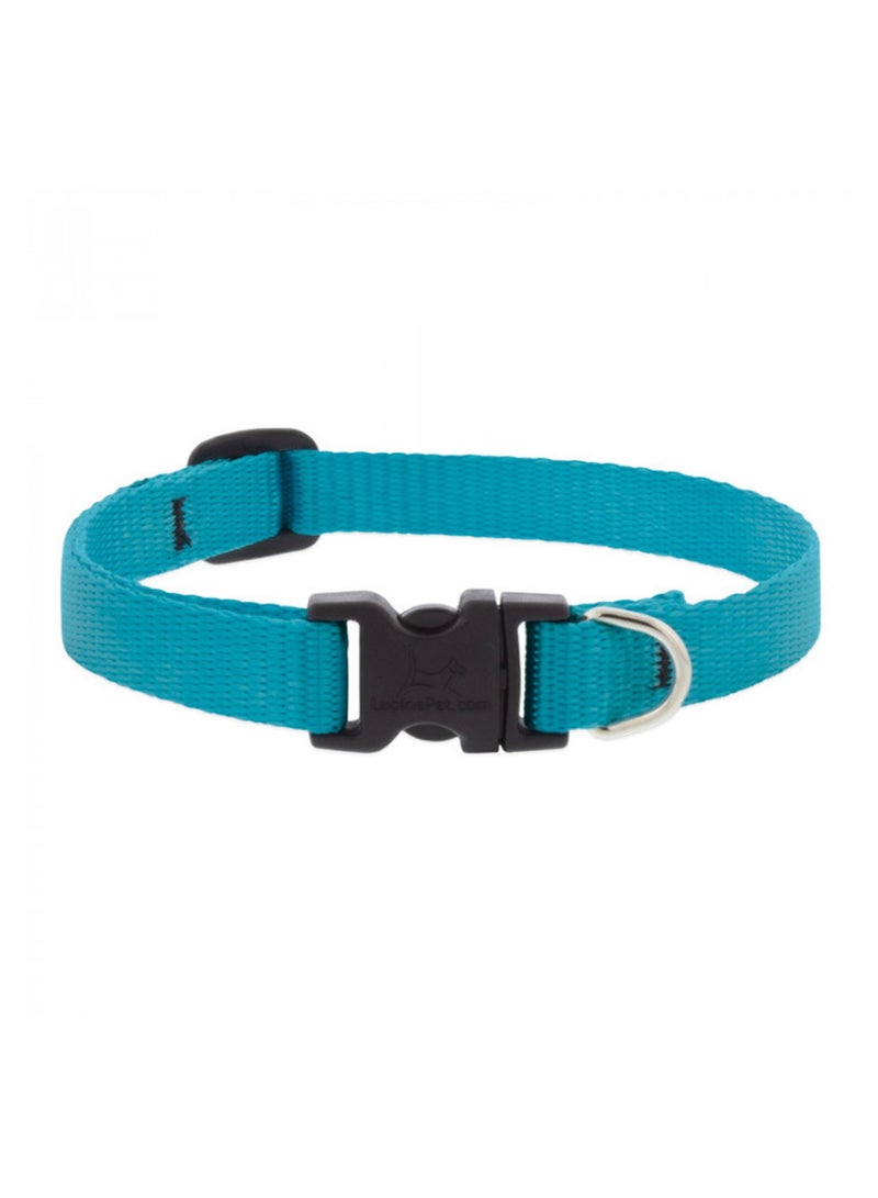Basic Solids Dog Collar  -Aqua