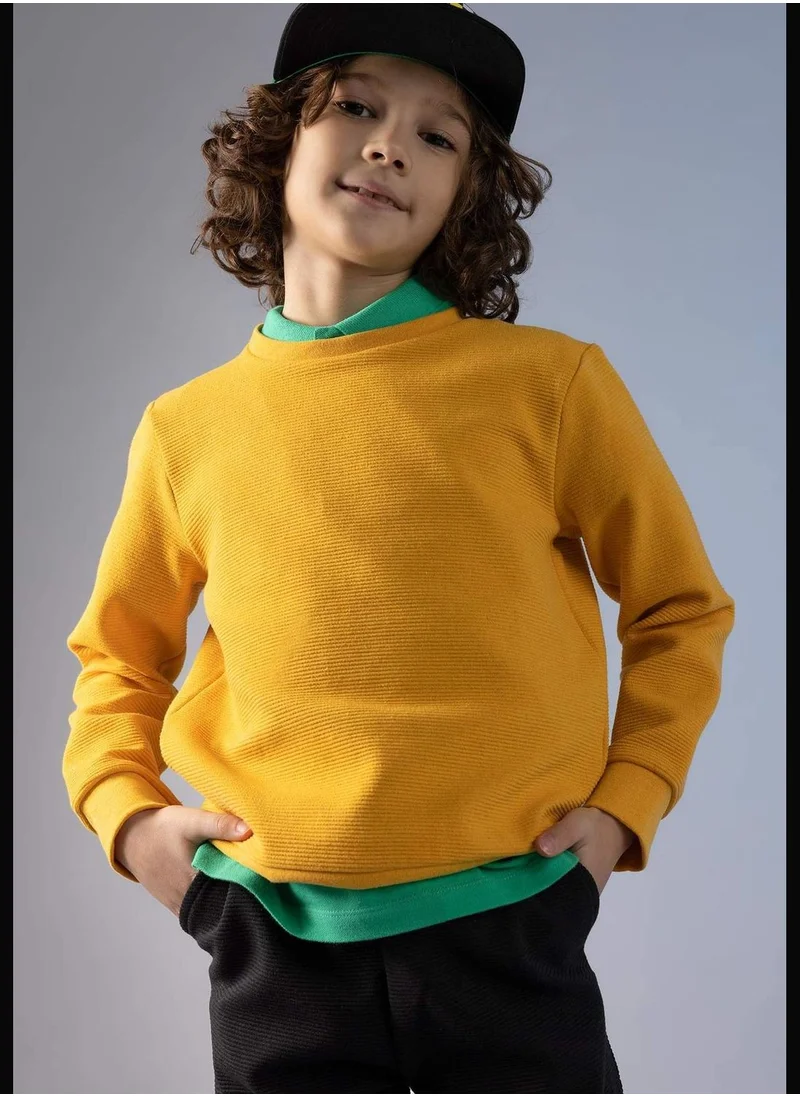 ديفاكتو Boy Crew Neck Long Sleeve Knitted Sweatshirt