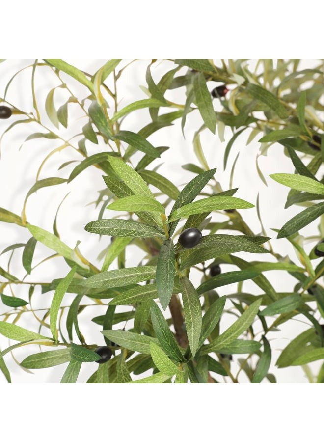LYERSE Olive Trees Artificial Indoor - Faux Olive Tree 210cm with Large Olive Branches and Lifelike Fruits - Artificial Olive Tree for Modern Home Office House Living Room Decor - Image 2