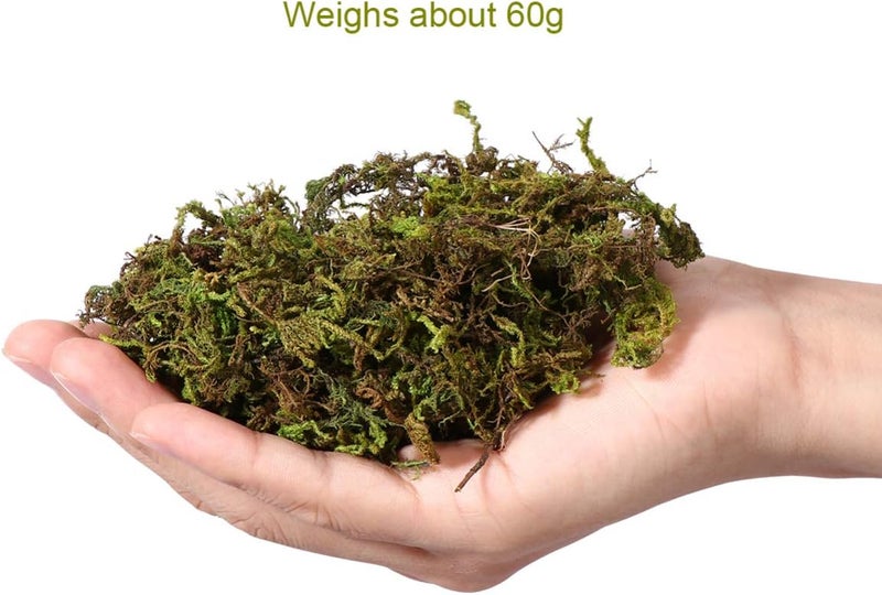 IMIKEYA Artificial Moss : 60g Artificial Green Fake Moss for Crafts Decorative Artificial Faux Moss for Plant Craft Flower Garden Wedding Christmas Table Centerpieces Decor - Image 4