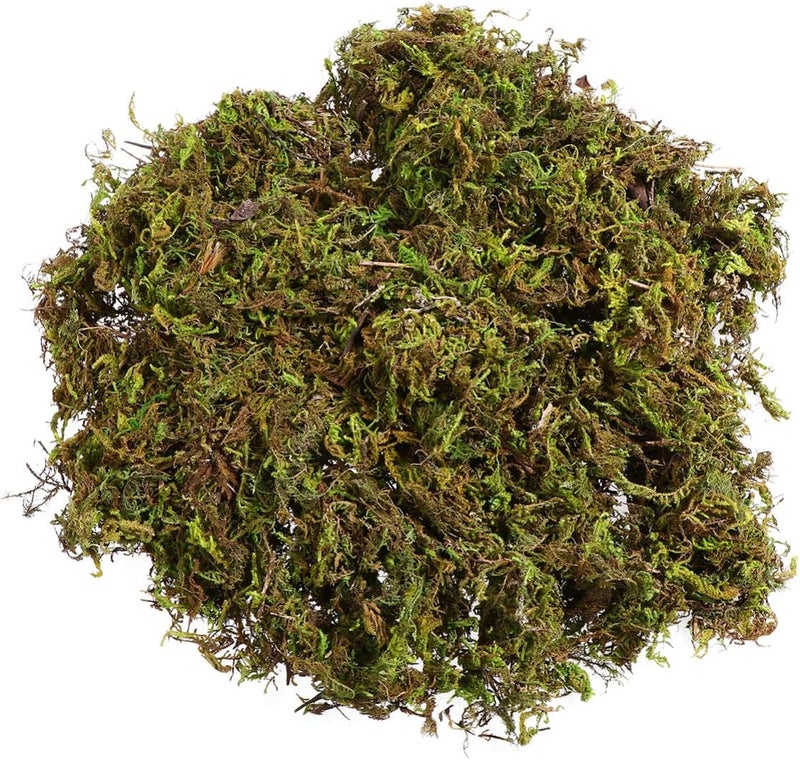 IMIKEYA Artificial Moss : 60g Artificial Green Fake Moss for Crafts Decorative Artificial Faux Moss for Plant Craft Flower Garden Wedding Christmas Table Centerpieces Decor - Image 1