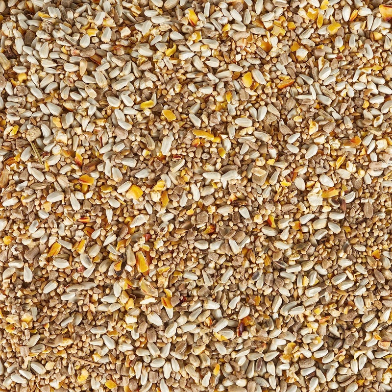 Kaytee Bird & Balcony Wild Bird Food No Mess Seed Blend for City Dwelling Birds Like Finches, Sparrows, Mourning Doves and More, 5 lb - Image 3