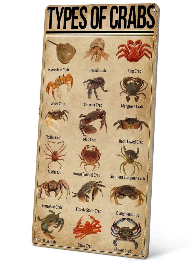 HYBLOM Vintage Types Of Crabs Metal Sign - Educational Crab Breeds Art Print for Home & Kitchen Decor, Retro Tin Wall Sign for Crab Lovers, Farmhouse, Cafe, Bar - 8x12 Inches - Image 1