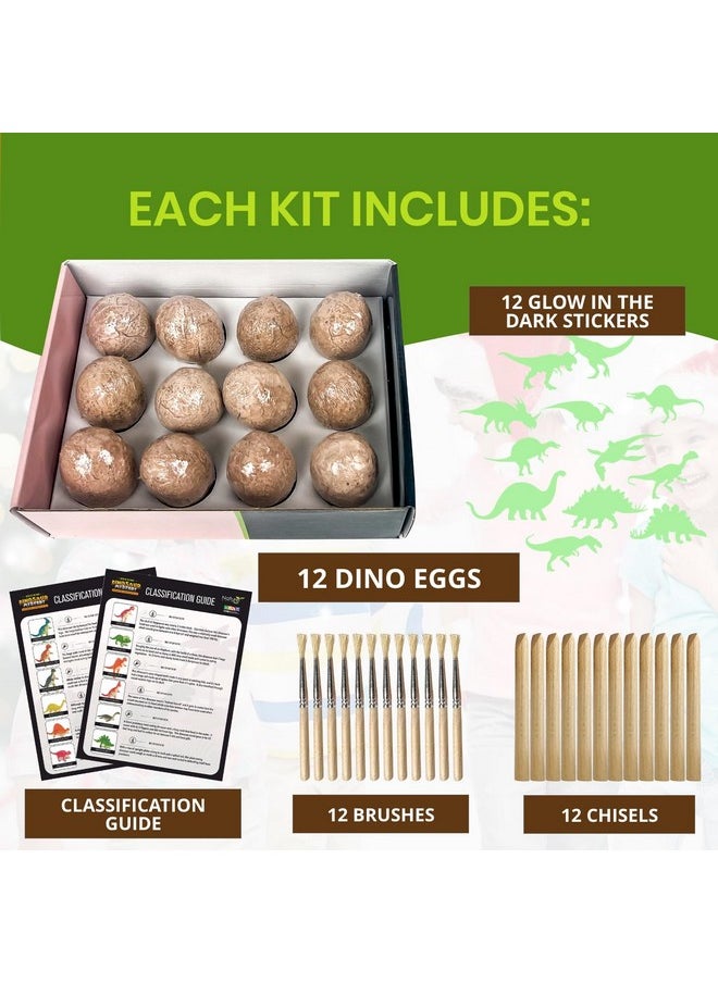 Nature Gear - Dino Dig Kit For Kids Dinosaur Eggs Digging Kit Educational Egg Excavation Kit With 12 Glow In The Dark Mystery Dinosaurs Interactive Archaeology Fossil Toy For Kids Age 3 5 And Up - Image 1