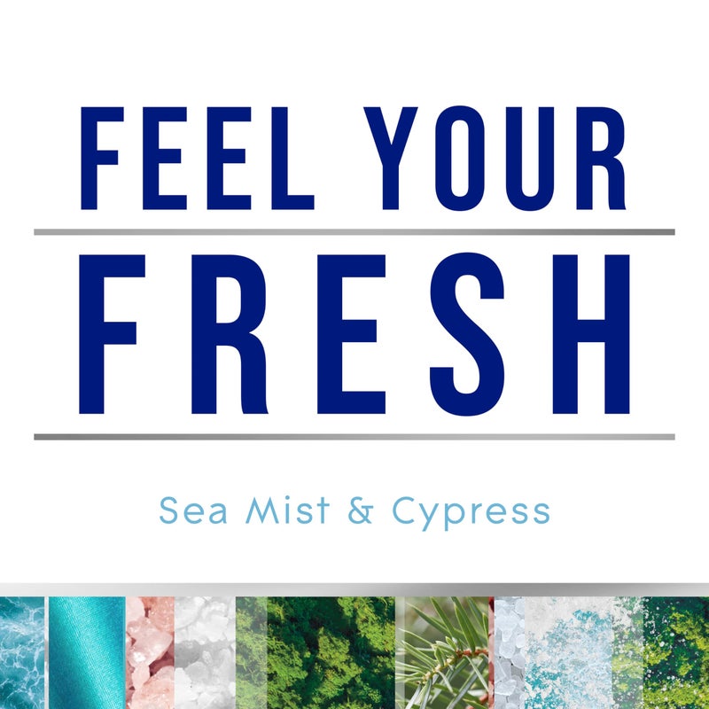 Glade PlugIns Refills Air Freshener, Sea Mist & Cypress, Scented and Essential Oils for Home and Bathroom, 0.67 Fl Oz, 10 Count - Image 3