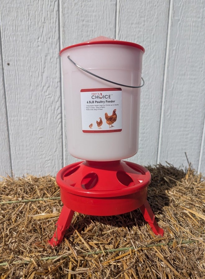 Hen's Choice™ Chicken Feeder and Waterer Set, 6.5 lb Feeder, 1.5 L Waterer - Image 5
