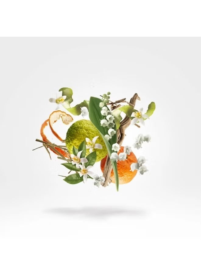 زيرجوف عطر رينيسانس أو دو بارفان 100 مل - Image 2