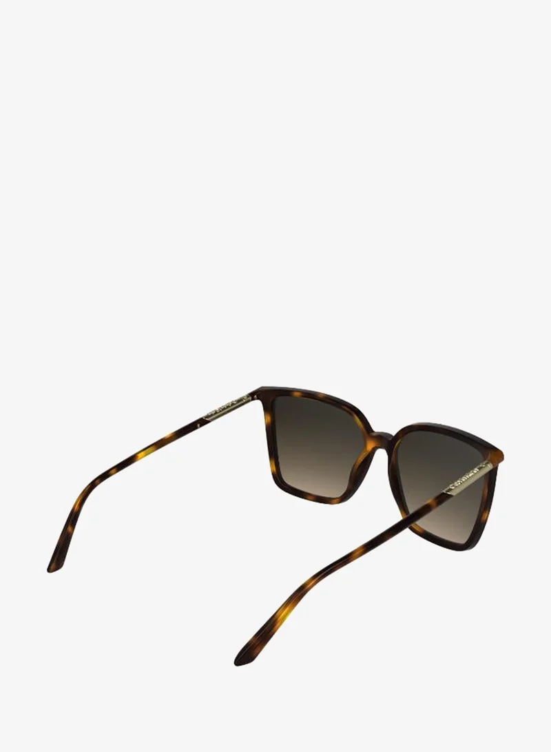 Calvin Klein  Butterfly Sunglasses for Women | Best Price UAE