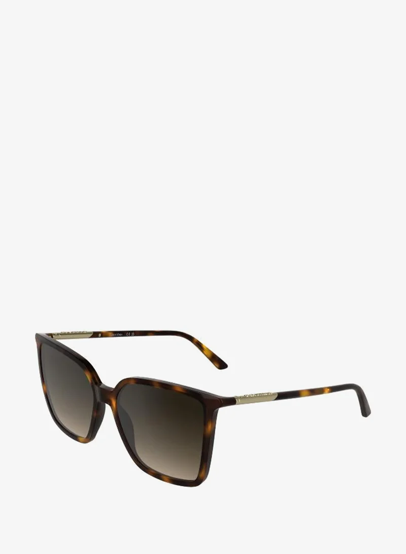 Calvin Klein  Butterfly Sunglasses for Women | Best Price UAE