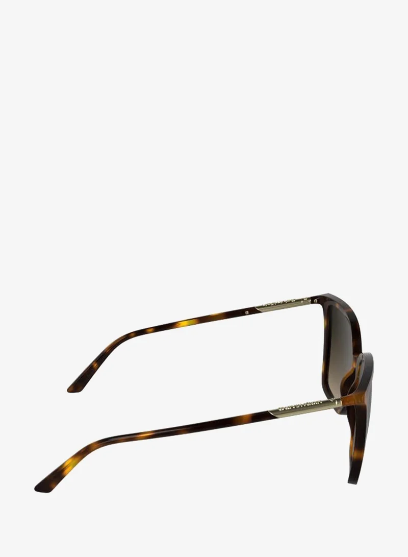 Calvin Klein  Butterfly Sunglasses for Women | Best Price UAE