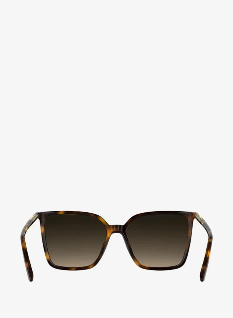 Calvin Klein Butterfly Sunglasses