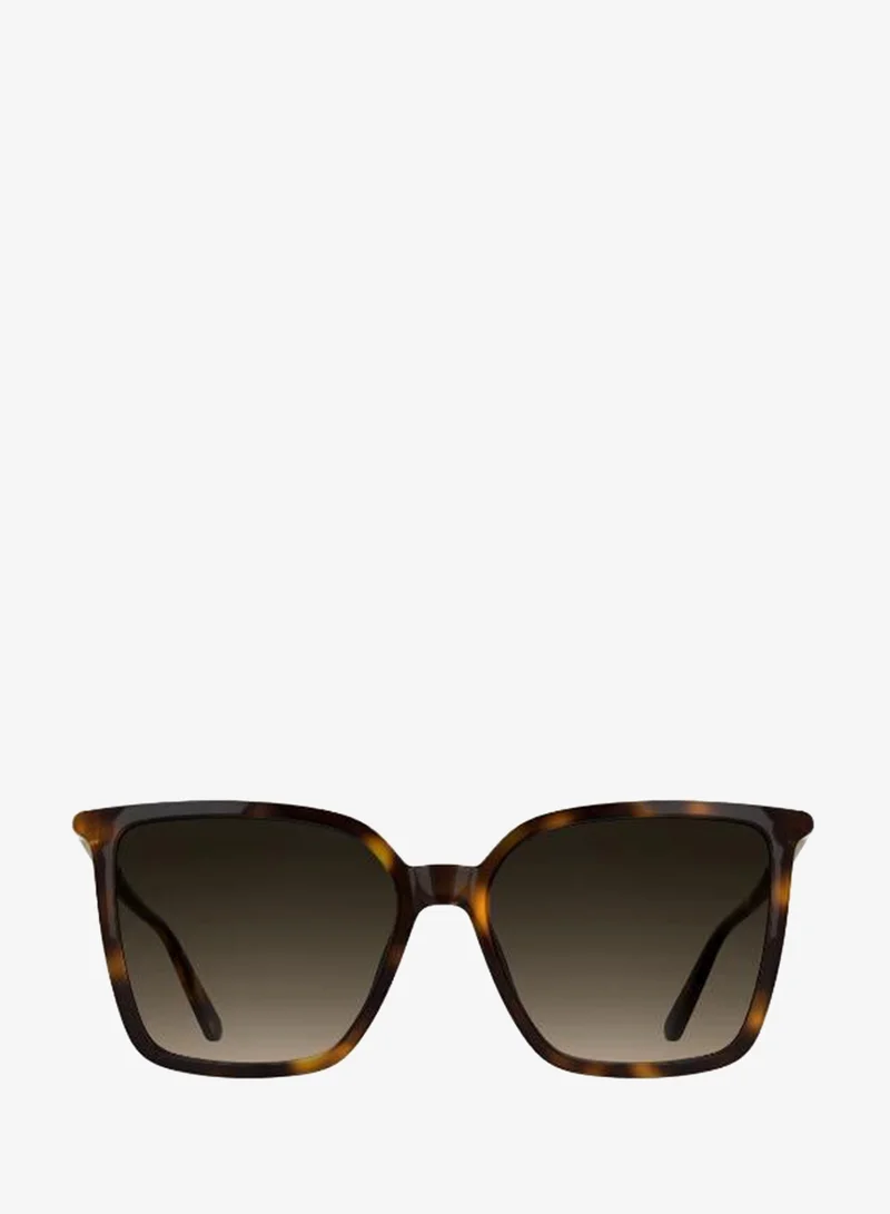 Calvin Klein Butterfly Sunglasses