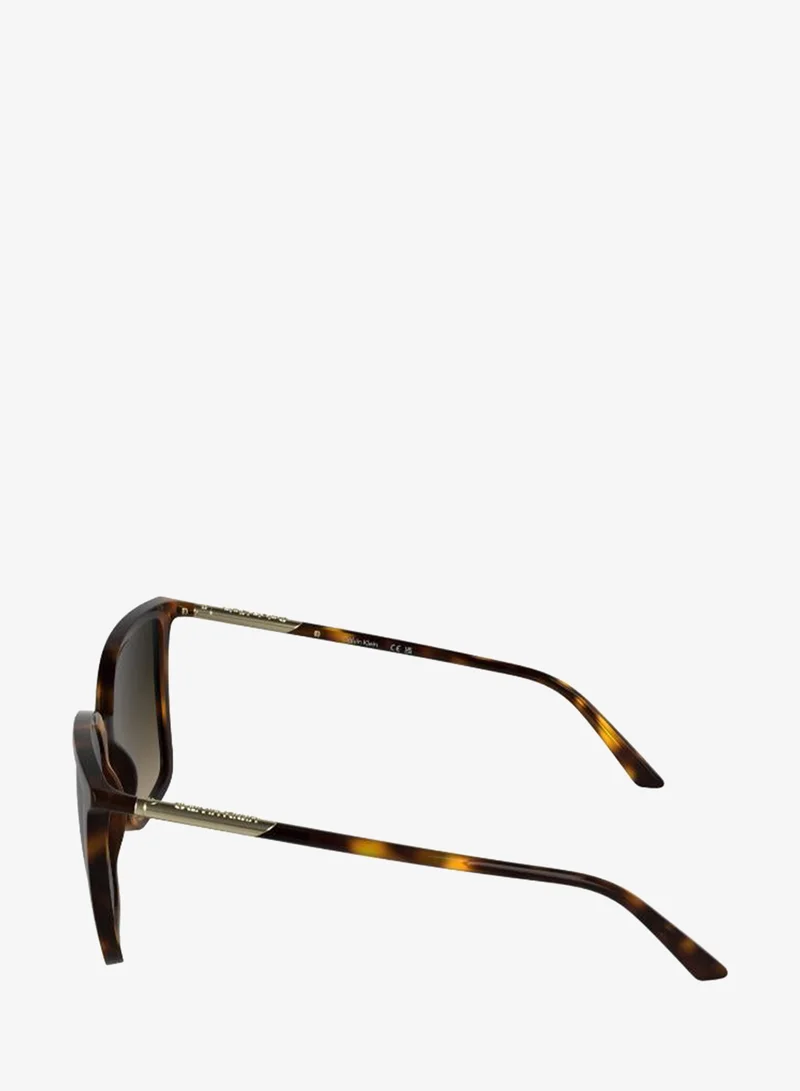 Calvin Klein  Butterfly Sunglasses for Women | Best Price UAE