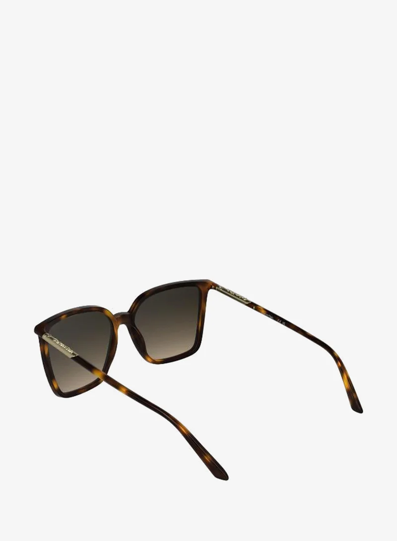 Calvin Klein  Butterfly Sunglasses for Women | Best Price UAE
