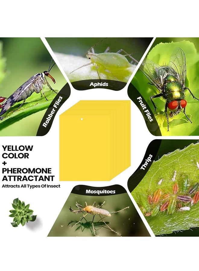 20Pcs 20 x 10 cm Sticky Traps for Plant Double Sided Sticky Trap for Gnats with Twist Ties Fly Traps for Fruit Insect Fungus Bugs Indoor Outdoor (Yellow) - Image 5