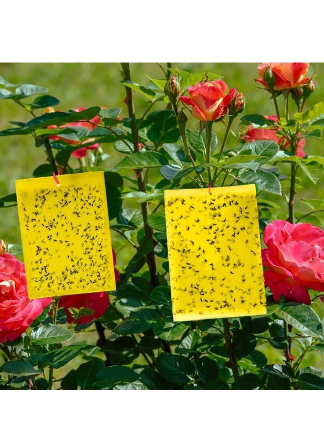 20Pcs 20 x 10 cm Sticky Traps for Plant Double Sided Sticky Trap for Gnats with Twist Ties Fly Traps for Fruit Insect Fungus Bugs Indoor Outdoor (Yellow) - Image 3