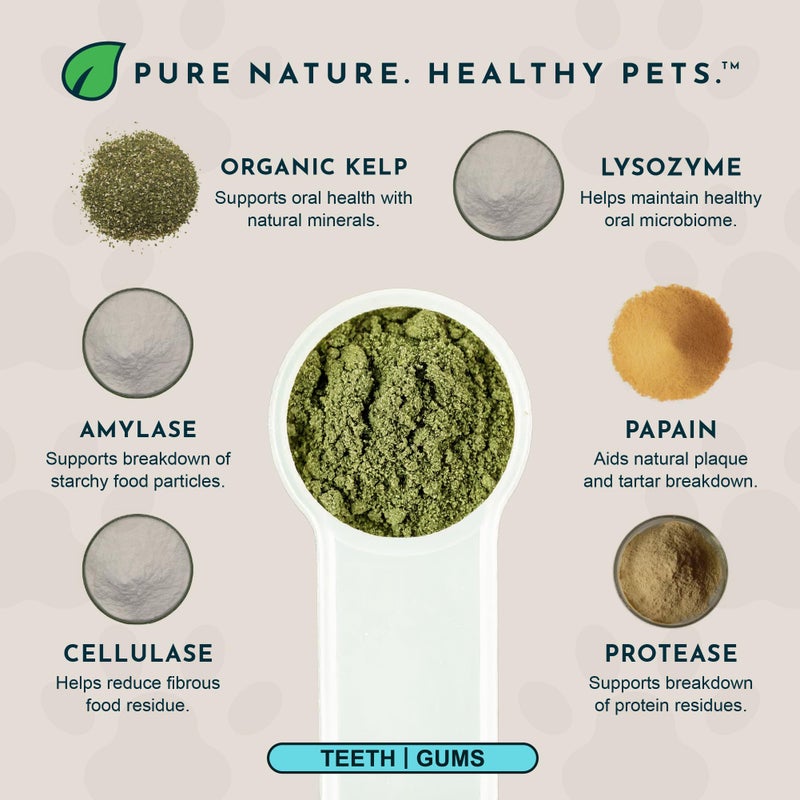 Animal Essentials Sea-Dent for Dog Teeth - Dental Powder for Dogs & Cats Teeth & Gums, Natural Oral Formula for Plaque & Tartar, Bad Breath Oral Freshener & Cleaner - 2.5 oz - Image 3