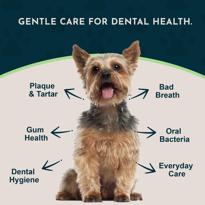 Animal Essentials Sea-Dent for Dog Teeth - Dental Powder for Dogs & Cats Teeth & Gums, Natural Oral Formula for Plaque & Tartar, Bad Breath Oral Freshener & Cleaner - 2.5 oz - Image 2