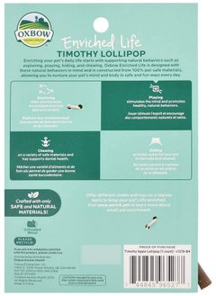 Oxbow Animal Health Bundle of 2 Enriched Life Timothy =Lollipop Small Animal Chew Treats: Apple and Carrot - pzsku/Z1CC53183292C40108229Z/45/_/1737031744/5626c99d-a2b3-492a-b96e-07e4c62240c1