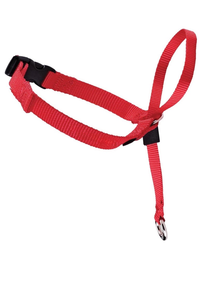 PetSafe Easy Walk Head Collar - Image 1