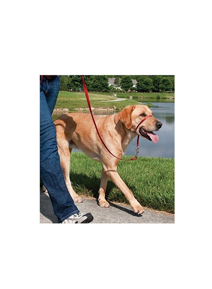 PetSafe Easy Walk Head Collar - Image 2