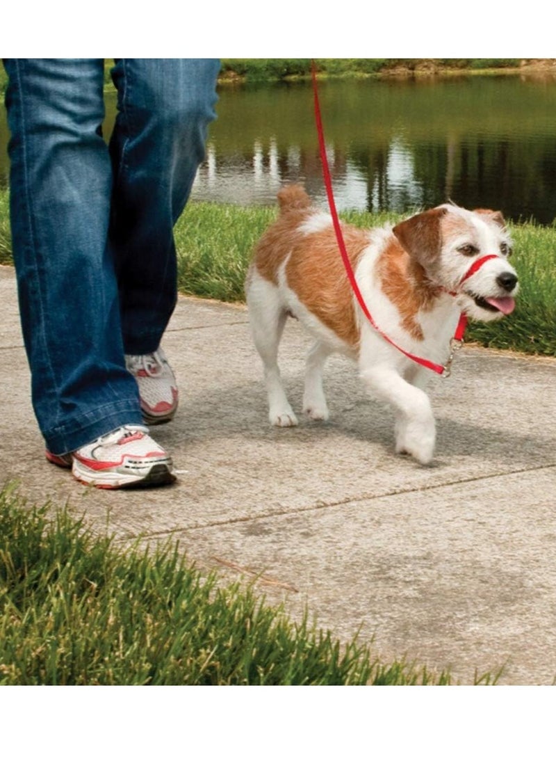 PetSafe Easy Walk Head Collar - Image 3