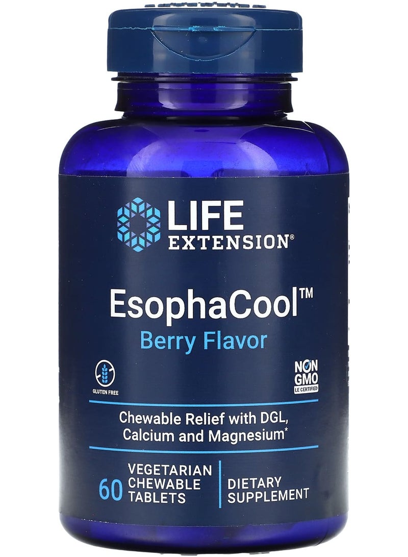 EsophaCool, Berry, 60 Vegetarian Chewable Tablets